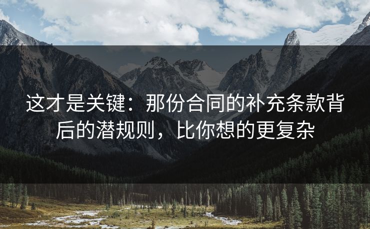 这才是关键：那份合同的补充条款背后的潜规则，比你想的更复杂